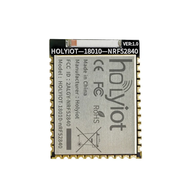 

Holyiot YJ-18010-nRF52840 модуль Bluetooth 5.0