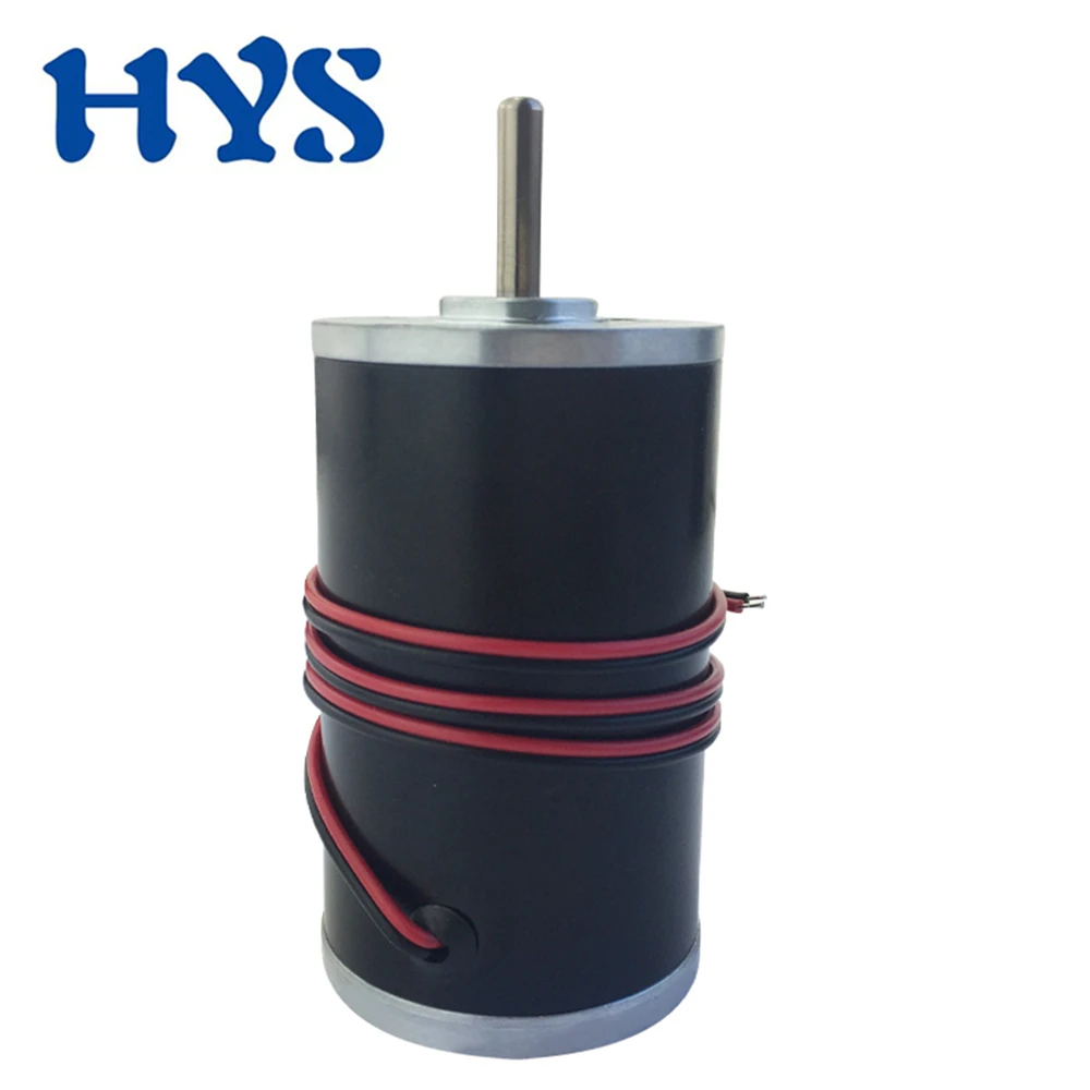 4575 Двигатель постоянного тока с постоянным магнитом 35 Вт 12 В 24 Микро