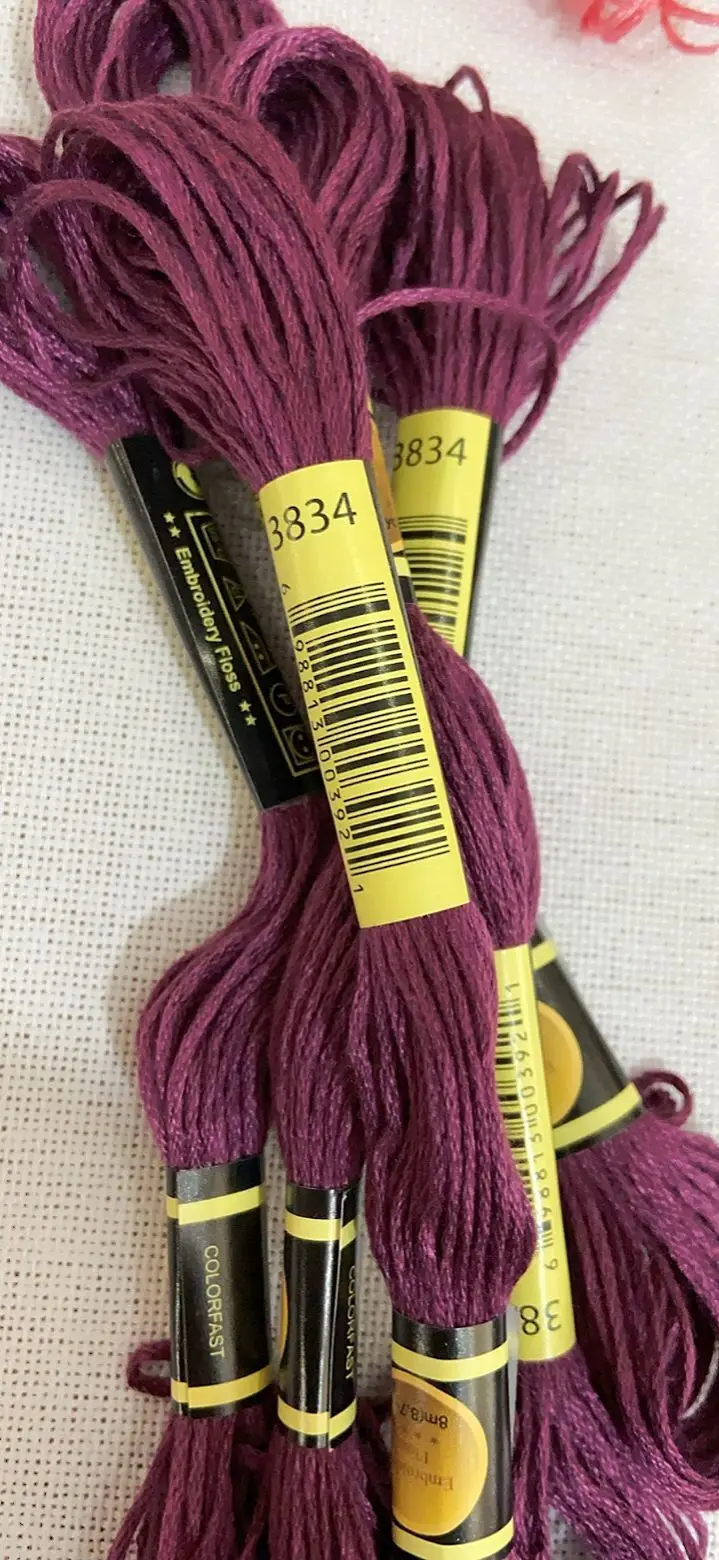 10PCS/LOL Cross Stitch Thread Embroidery Floss For Beginners DIY Craft Bracelet Craft8M Skein Rainbow DMC 3834