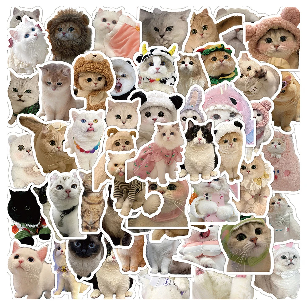 

10/30/60 PCS Funny Cute Animal Cat Graffiti Stickers Decals for Luggage Guitar Motorcycle Car Laptop DIY Sticker Toys