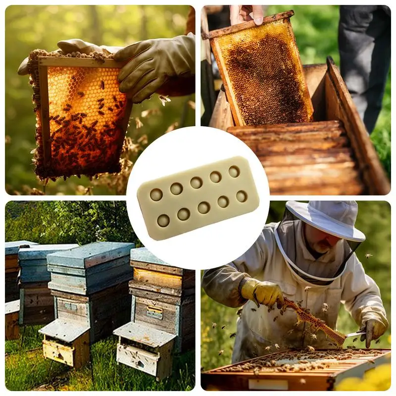 Силиконовые формы прививочные чашки для пчелиных маток многофункциональный