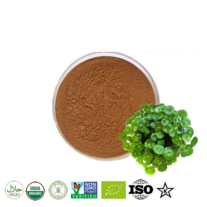 100 -1000g gotu Kola / polvo de Centella азиатская 20: 1 reконструкция кожи antienvejecimiento заготовка