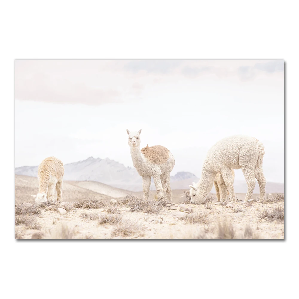 Живопись на холсте AliPaint 