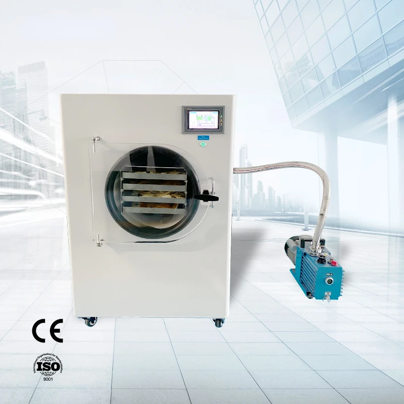 

Household Machine Fruit Food Mini Vacuum Home Freeze Dryer
