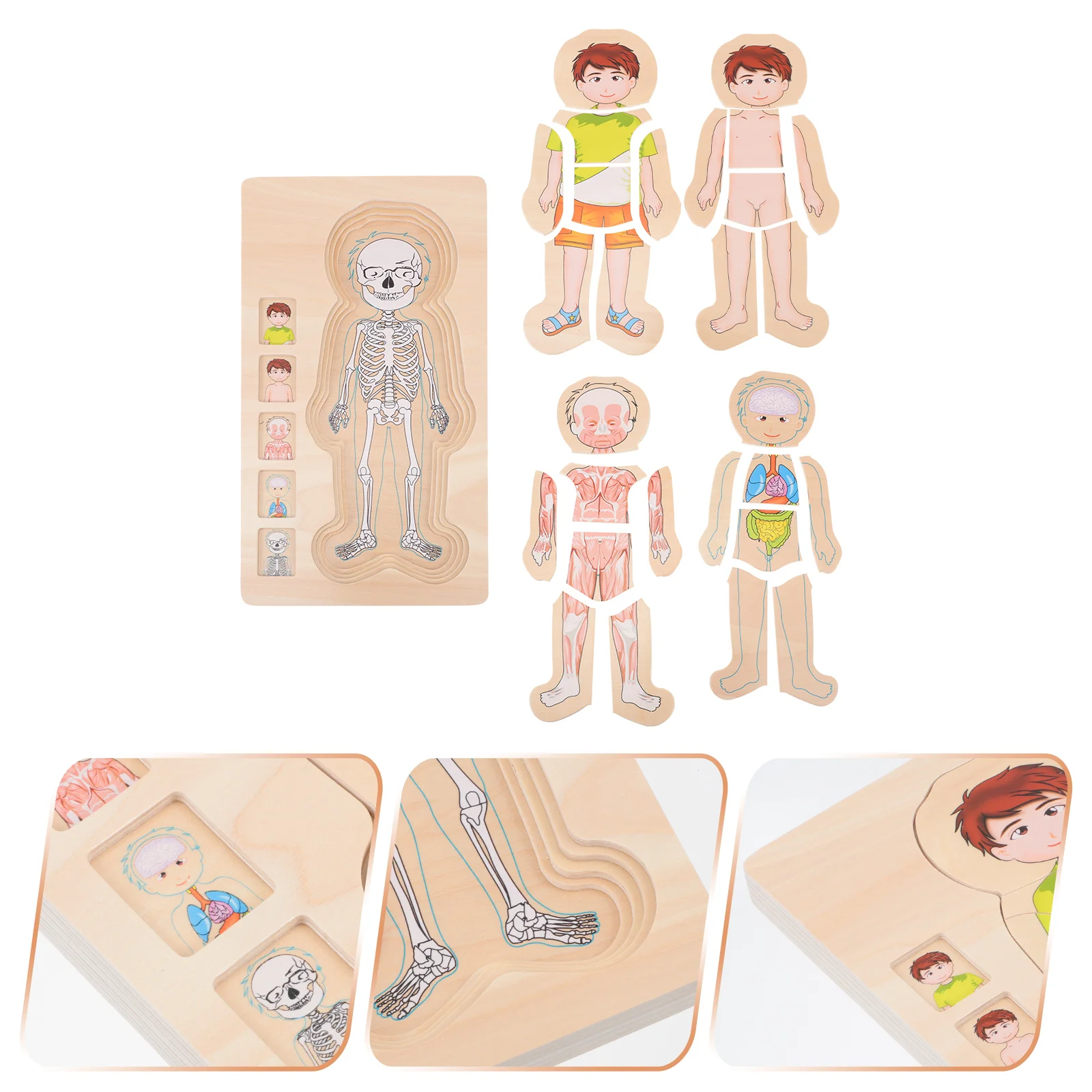 

Multilayer Puzzle Funny Toy Body Constitution Girl Toddler Toys Wooden Structure Cognition Kids Intelligence