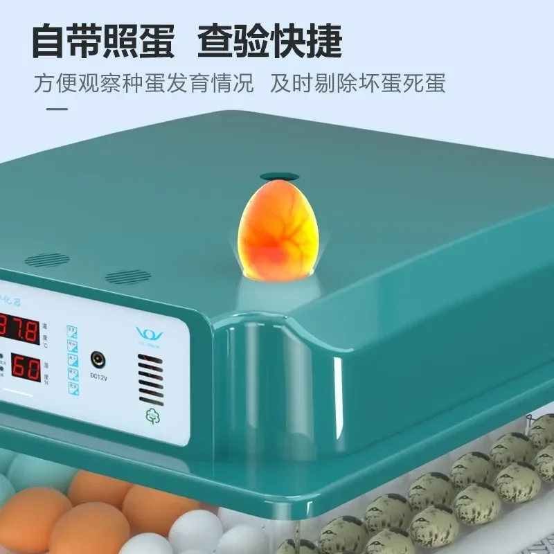 Инкубатор для кур уток гусь голубь Rudin