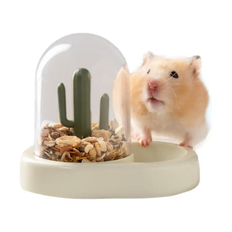 Curated visual reference: Visual Reference: Gerbil Bird Food