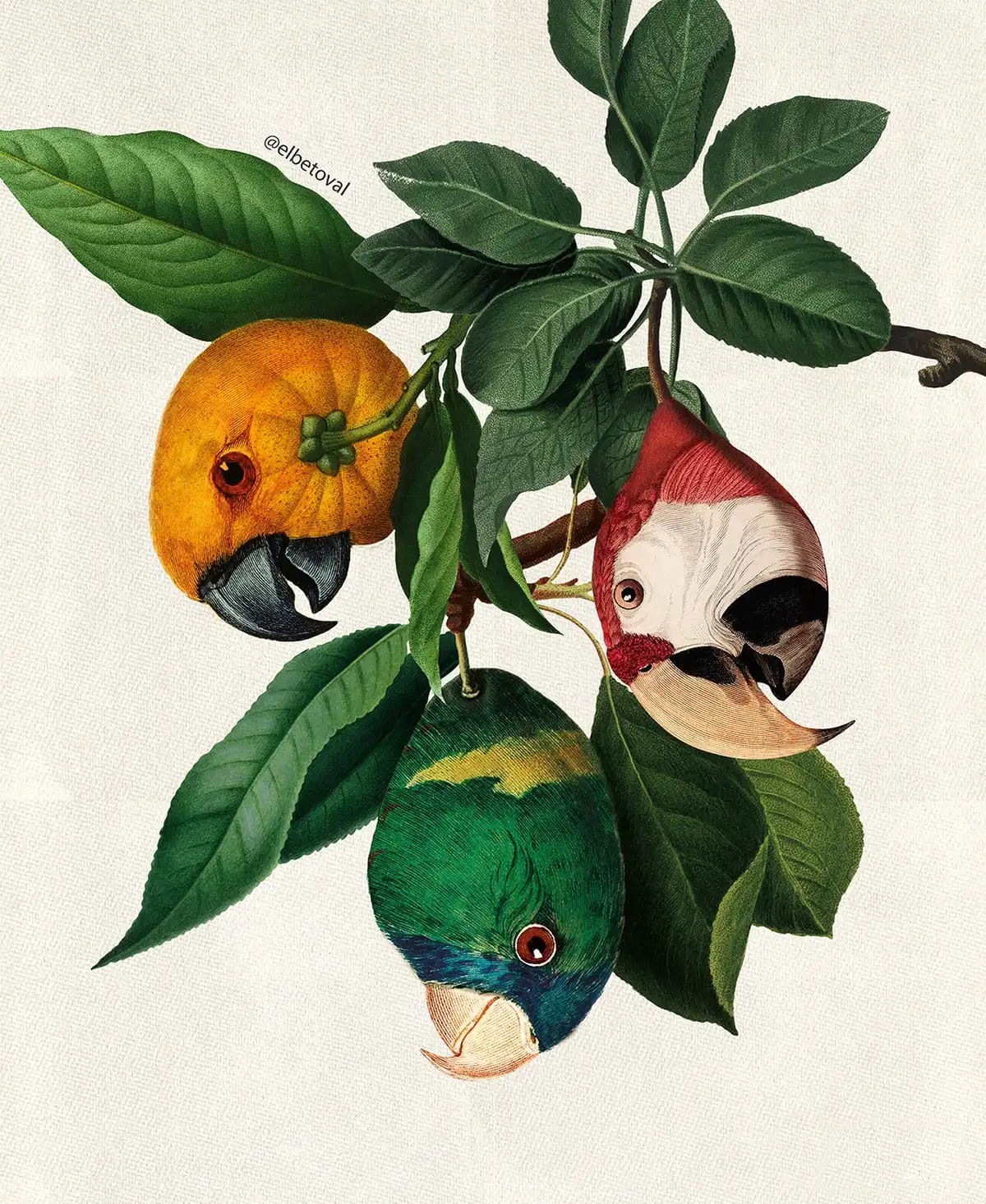 Картина на холсте с животными растениями рамкой птица рыба попугай Зеленый лист