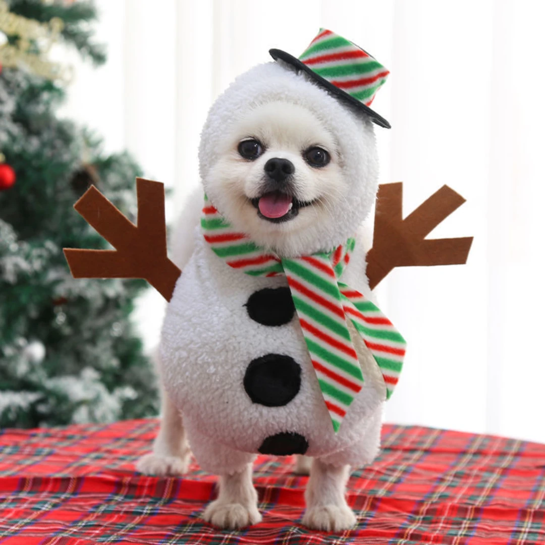 

New Dog Christmas Pet Clothes Cat Costume Funny Autumn and Winter Standing Snowman Costume