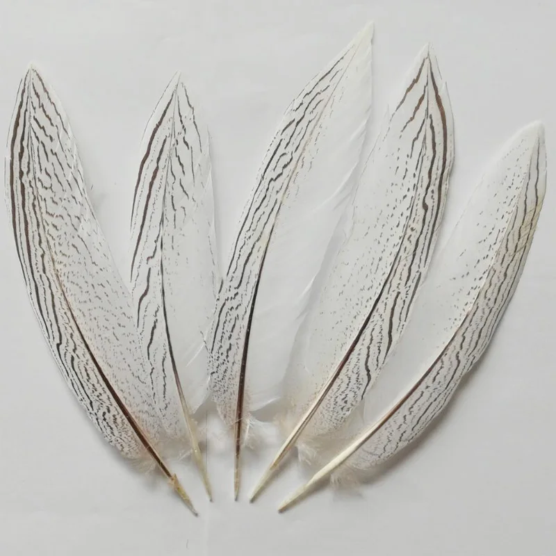 Цветные перья. Белый пух. Черные перья. Вороньи перья. Писательское перо.