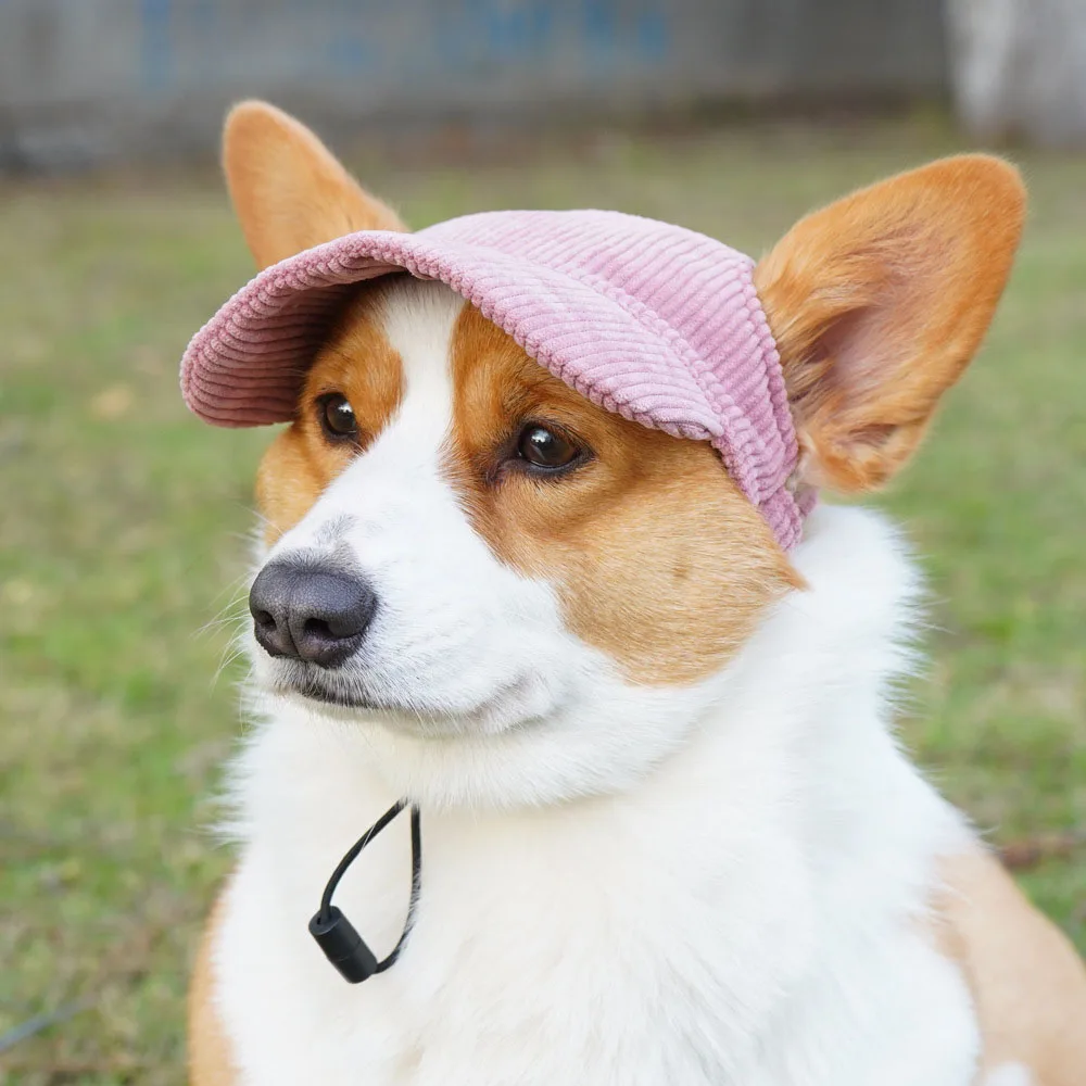 Pet Baseball Cap With Ear Holes Summer Sun Cap Hat Small Medium Large Dogs French Bulldog Visor