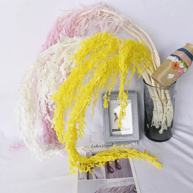 

5PCS/ Bouquet of Natural Dried Plants Lover Tears Roulish Dry Flowers Long Spike Flowers Hotel Wedding Room Decoration Wholesale