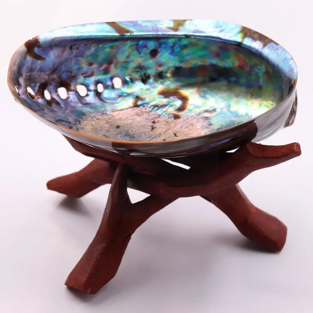 

11-13cm Large Rainbow Abalone Shell Charm Beach Seashell Beautiful Car Colorful House Seashell Sea Decoration Office T0B0
