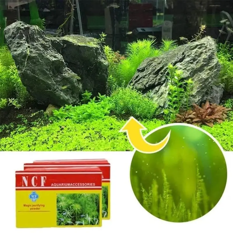 

Eco-Aquarium Purification Powder Without Bringing Harm To The Fish Organic Aquarium Algae Microbial Purifying Powder Fish Tools