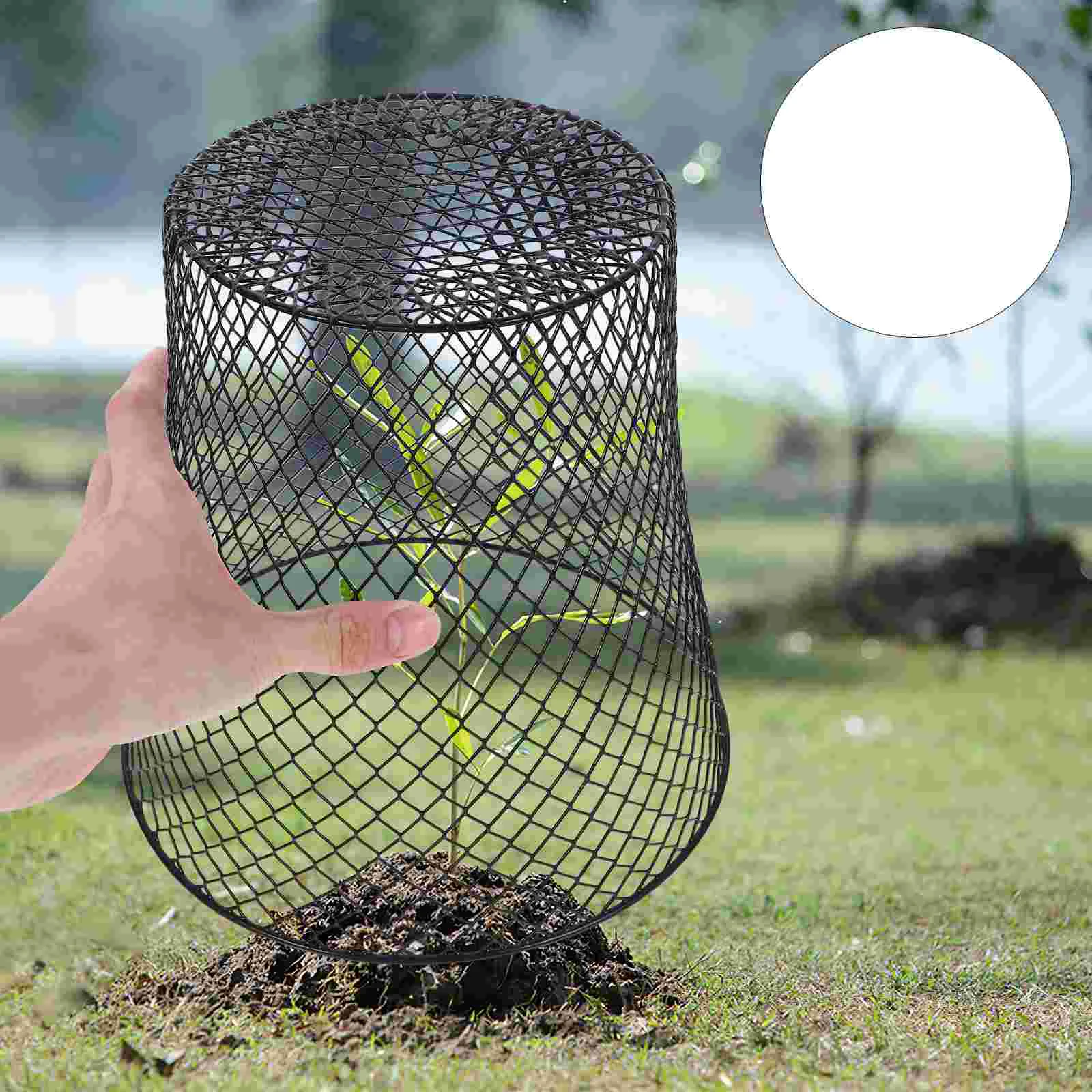 

4 Pcs Wire Cover Plants Protection Iron Protector Mesh Designed Flowerpot Sturdy