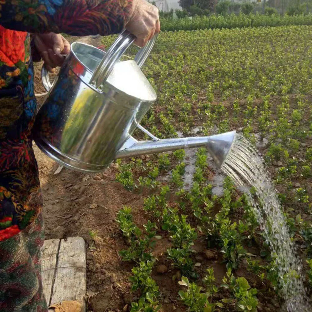 

Kettle Small Watering Can Spout Indoor Succulents Plants Outdoor Cans Iron Garden Kettles