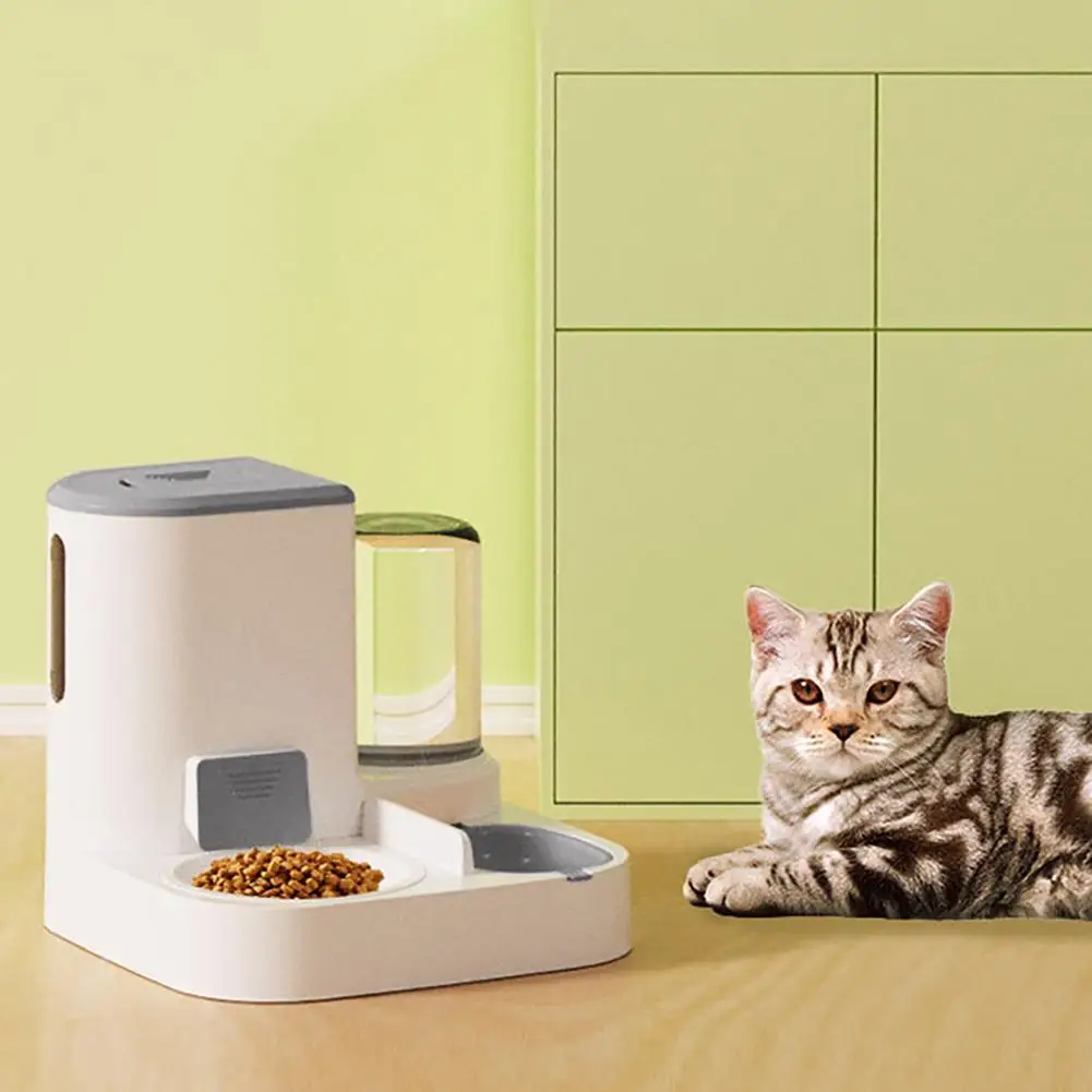 

Cat Bowl Automatic Feeder With Water Dispenser Stainless Steel Cat Bowl Ceramic Pet Food Water Bowl For Dog