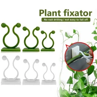 plant climbing wall clips vine buckle hook rattan clamp fixator self adhesive plant stent vine climbing fixed bracket