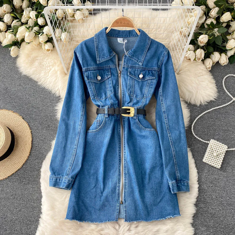 

Vintage Work Denim Dress Women 2022 New Spring Autumn Long Sleeve Turn Down Collar Zipper Short A-line Dress Casual