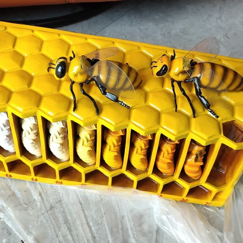 Форма для обучения пчеловодству с большим жизненным циклом форма из