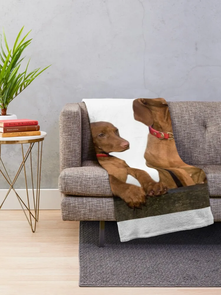 Декоративное одеяло с изображением собак Viszla