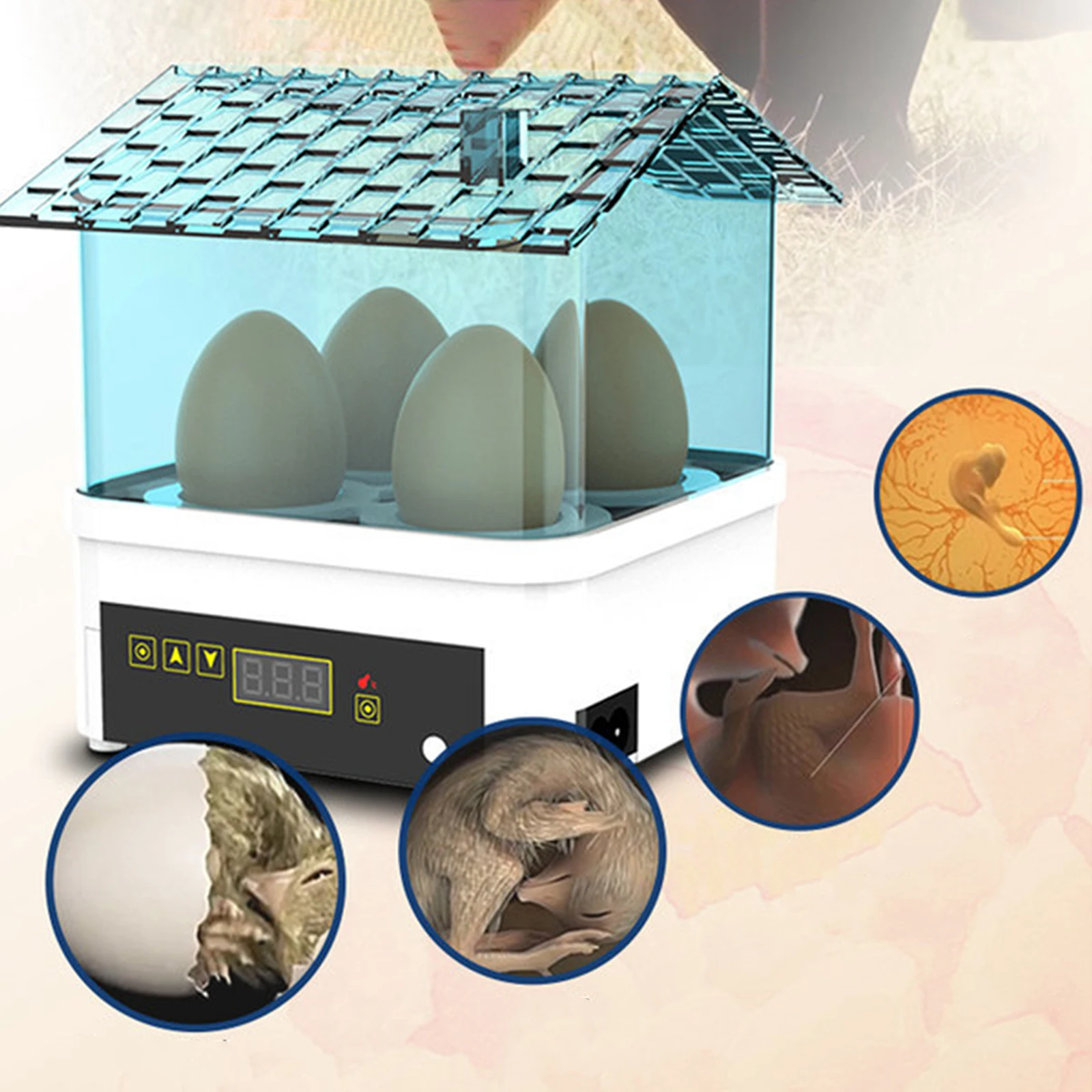 

Automatic Egg Incubator Chicken Hatcher 4 Eggs Incubation Brooder for Chicken Duck Quail Birds Poultry Hatching Machine EU Plug