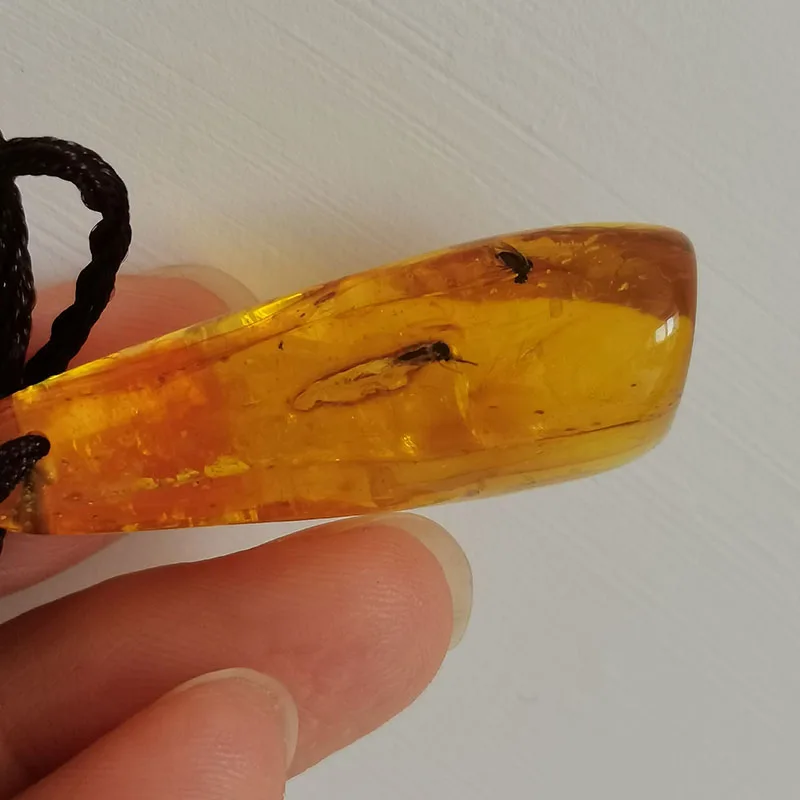 

Yoowei 39*16*12mm Amber Flying Animal Pendant Women Gift 5g Unique Insect Inclusion New Natural Baltic Teardrop Necklace Jewelry