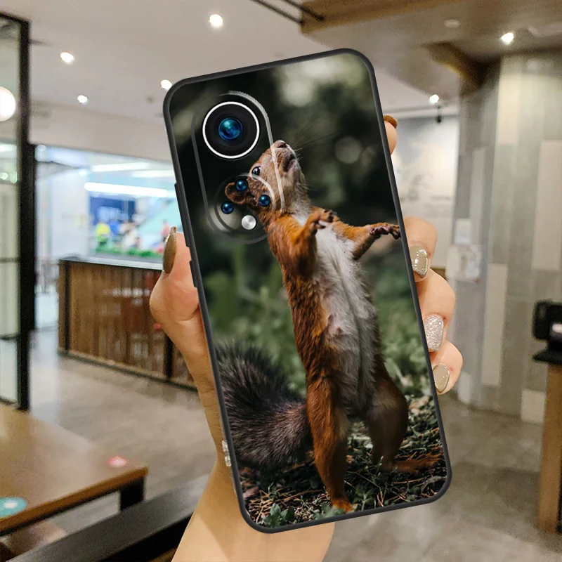 Чехол-накладка с белкой для Huawei Honor 50 Lite 8X 9X 10i Nova 5T 9 P Smart 2021 P20 P40 P30 Pro |