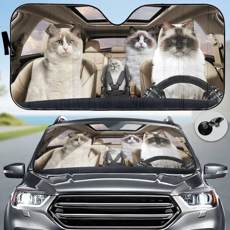 

Автомобильный солнцезащитный котенок Ragdoll, подарок для кошки Ragdoll, декор для машины Ragdoll, автомобильный солнцезащитный котенок Ragdoll, Солнцезащитный котенок для машины Ragdoll