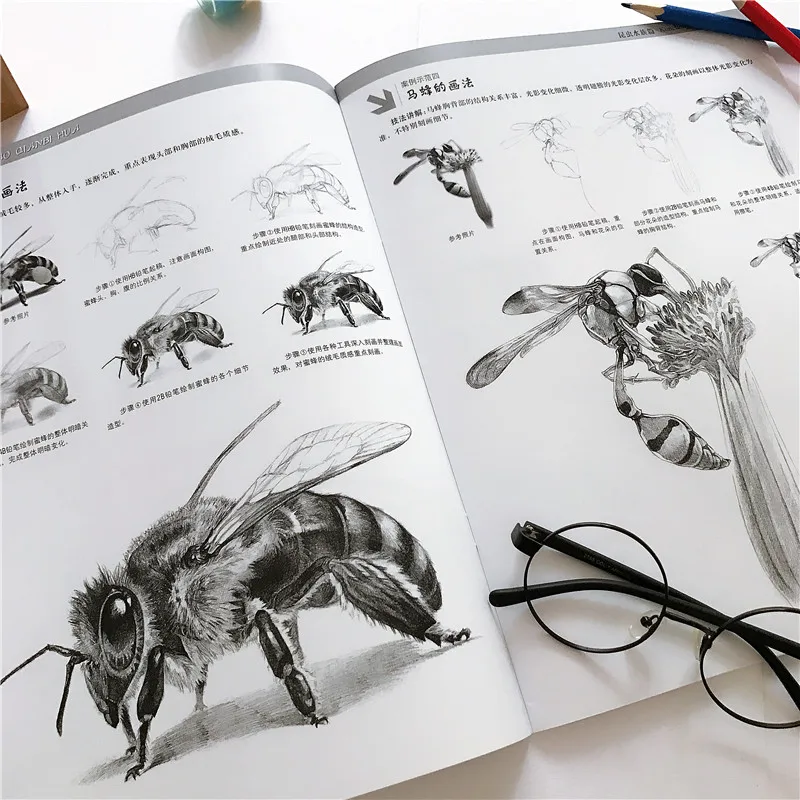 

Базовые книжки-карандаши для эскизов Учебное пособие на нулевой основе от начинающих до опытных книжки для рисования эскизов ручная роспись учебный курс