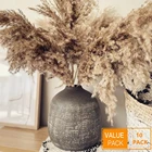 Декорирование в стиле бохо, пампасная трава, пушистые искусственные сушеные цветы, помпасы, травы для украшения, свадьбы, дома, весенний декор, 10 шт.