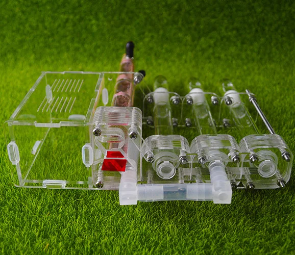

connecting glass tube moisturing breeding ant nest,Side layered type bamboo test tube ant farm ant formicarium