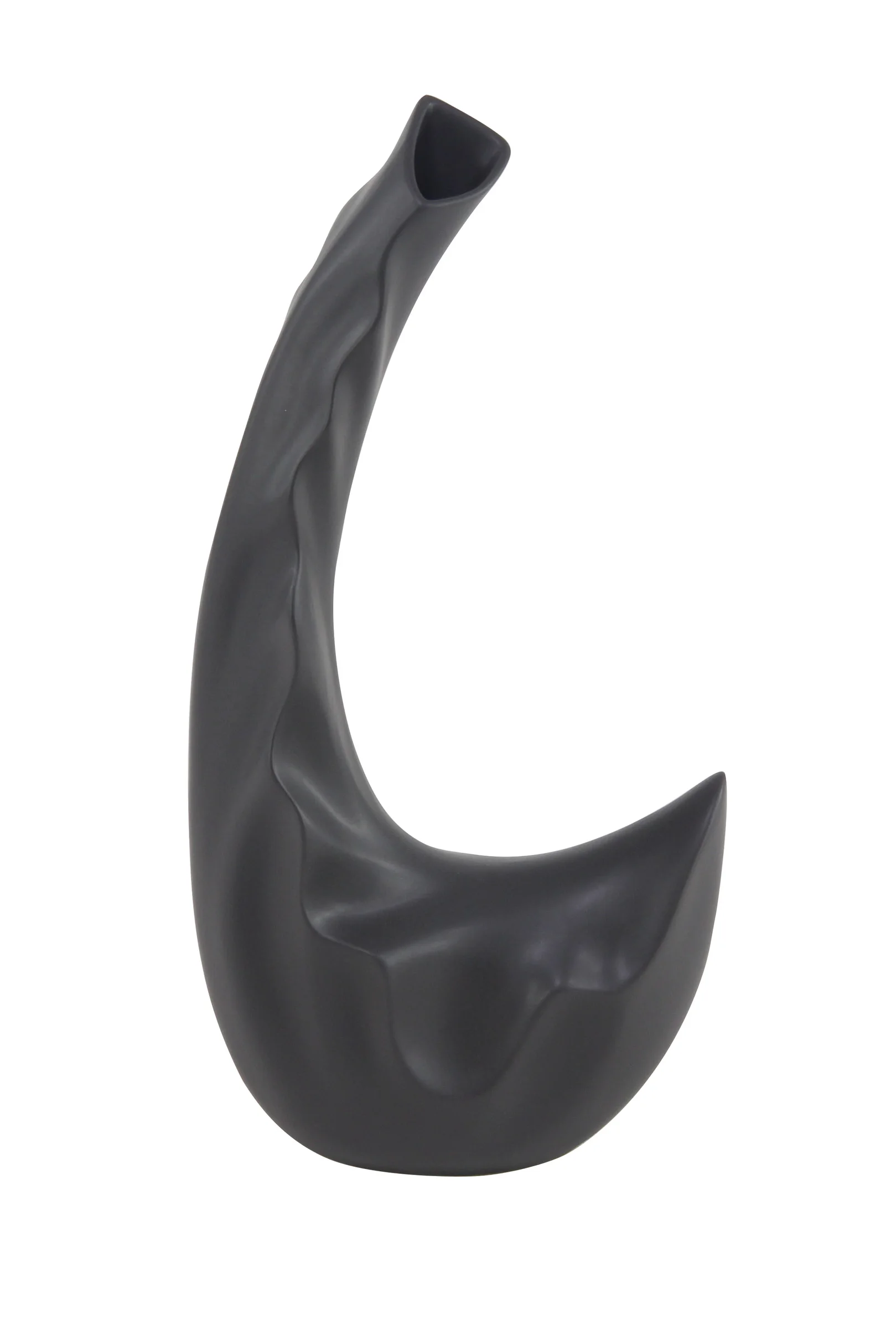 

Modern 18 X 9 Inch Black C-Shaped Ceramic Vase