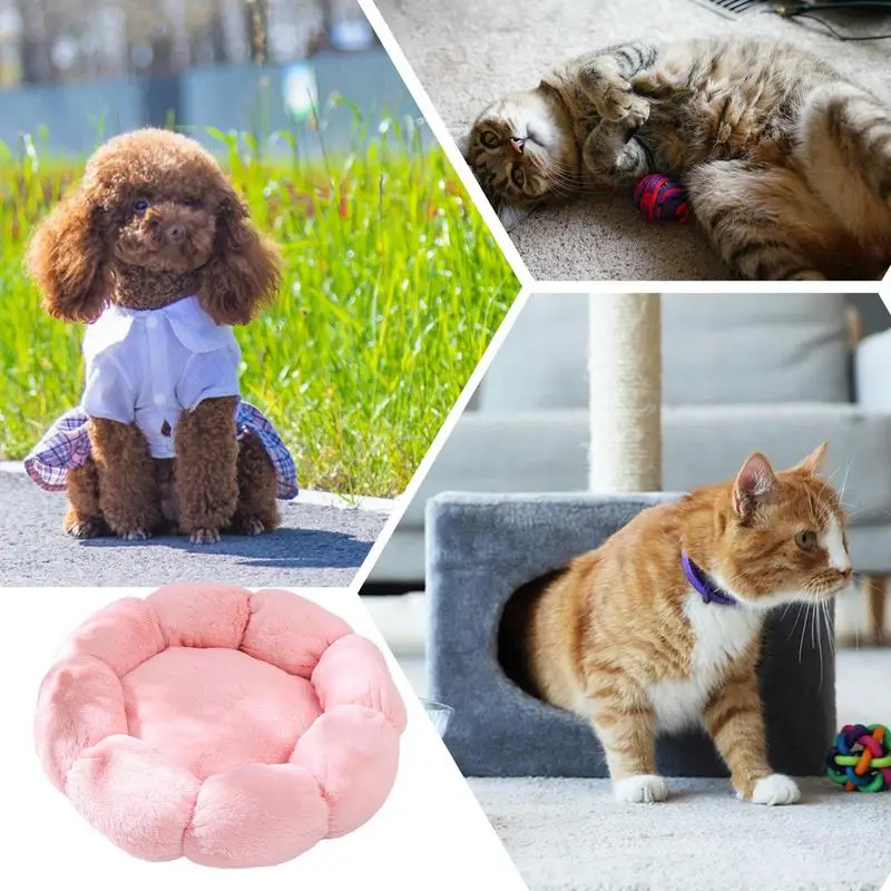 Кровать для кошек домашних Мягкая кошачья пещера Цветочные теплые кровати