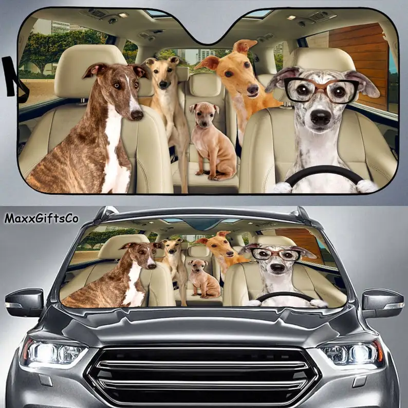 

Greyhound Car Sun Shade, Greyhound Windshield, Dogs Family Sunshade, Greyhound Car Accessories, Greyhound Lovers Gift, Car Decor