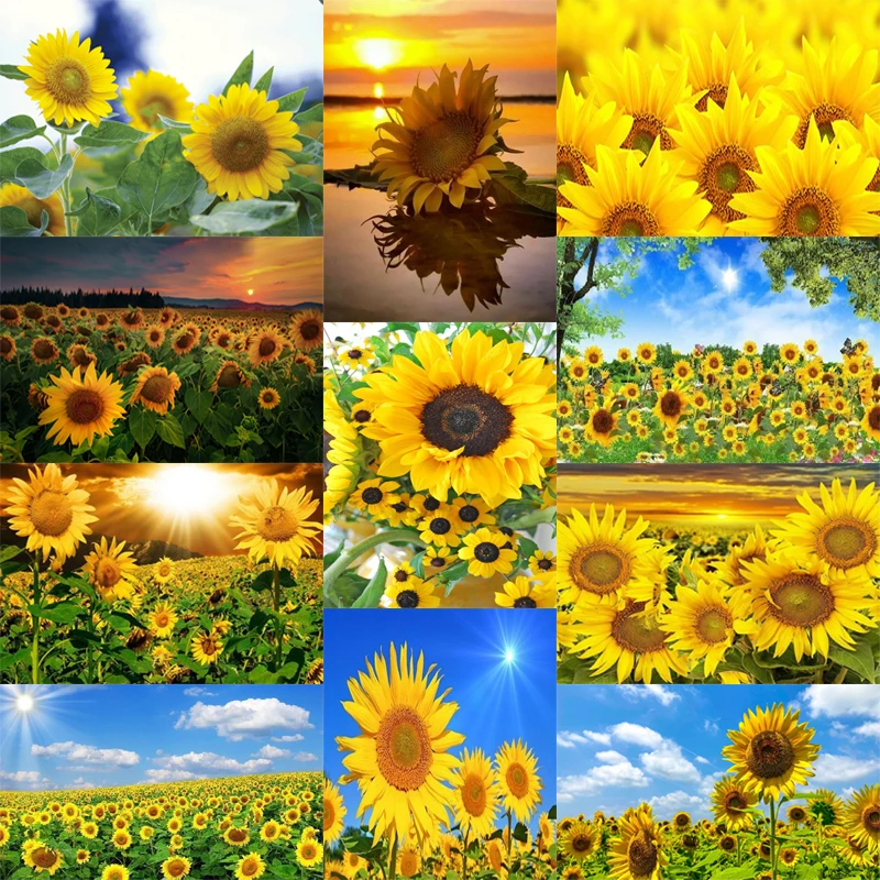 

5D DIY Diamond Painting Sunflower Full Diamond Art Embroidery Home Decoration Large Living Room Office Diamond Cross Stitch Kits