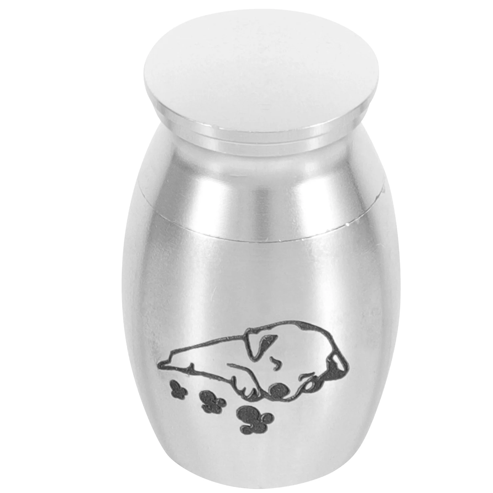 

Pet Urn Decorative Urns Metal For Cats Keepsake Small Ashes Cremation Burial Dog Dogs