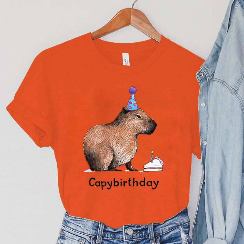Рисунок 6 - Разноцветные футболки Capybirthday