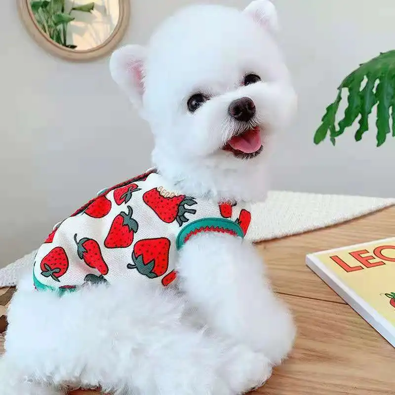 

Cute Pet Clothes Dog Clothes for Small Dogs Strawberry Print Puppy Cat Vest Designer Dog Clothes Chihuahua Teddy Clothing York