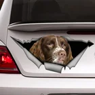 Springer Spaniel Автомобильная наклейка, собака автомобиль наклейка, спаниель автомобиль наклейка