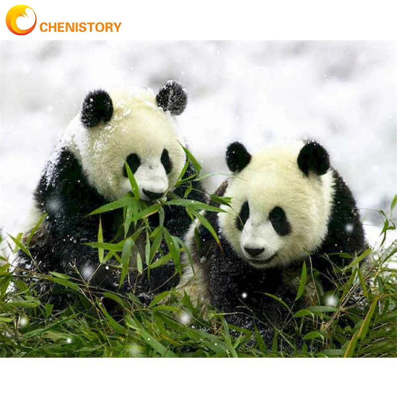 

CHENISTORY Coloring By Numbers Panda Handpainted Gift Unframe Oil Painting By Numbers Animal Canvas Painting Home Decoration