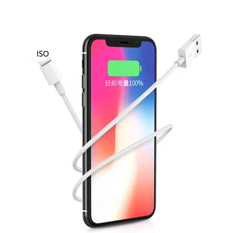 1 м 2 USB-кабель для зарядки с европейской вилкой зарядное устройство iPhone 7 8 6 6S Plus XR XS