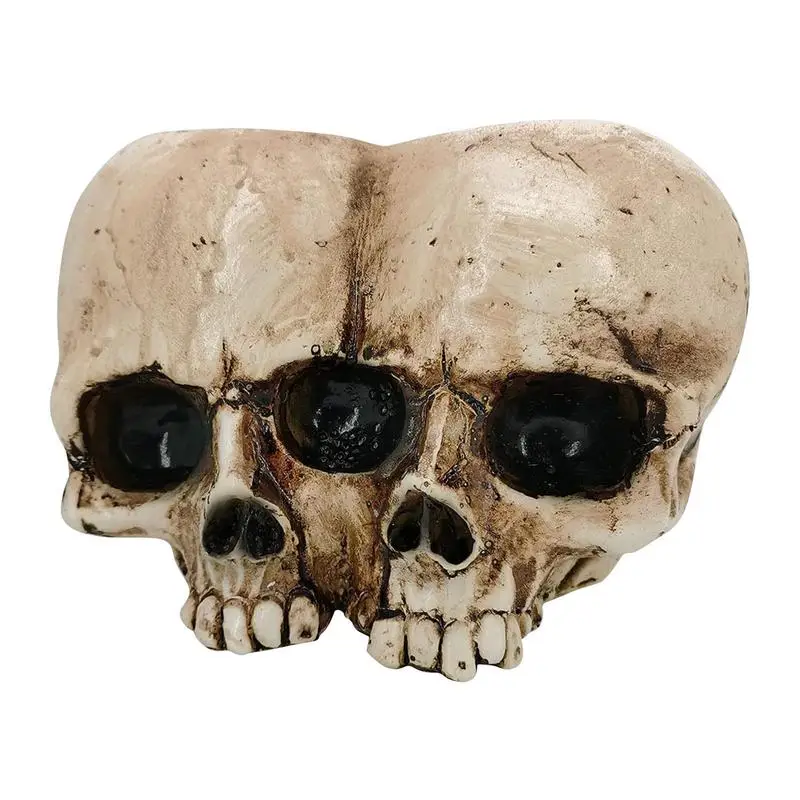 

Resin Crafts Human Tooth Skull Fossils Teaching Skeleton Model Halloween Home Office Flower Pot Planter Skull Pot Decoration