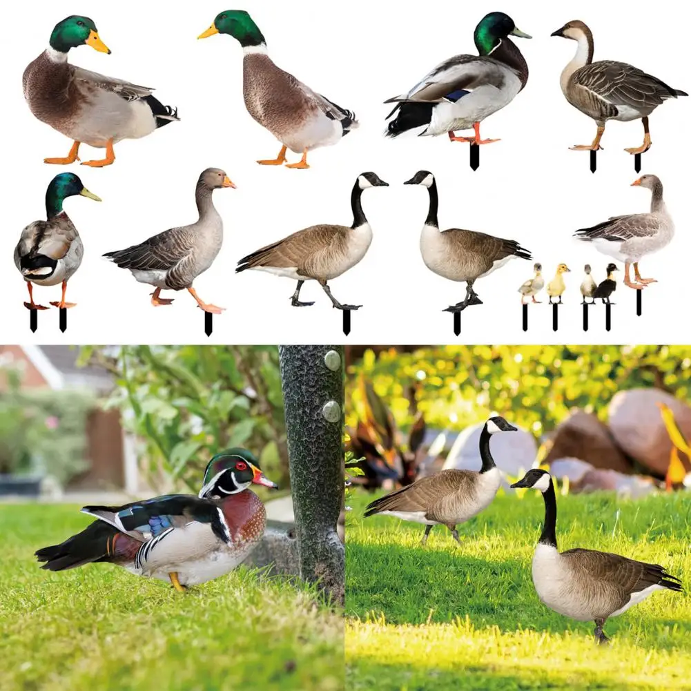 

Duck Decor Realistic Life-like Ornamental Double-sided Printing Rustic Acrylic Garden Poultry Statue for Yard