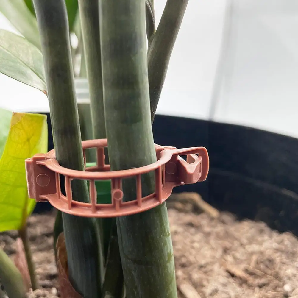 

100 шт. набор зажимов для сада, зажим для поддержки стебля томатов в теплице, зажим для роста растений, пластиковые зажимы для помидоров, звень...