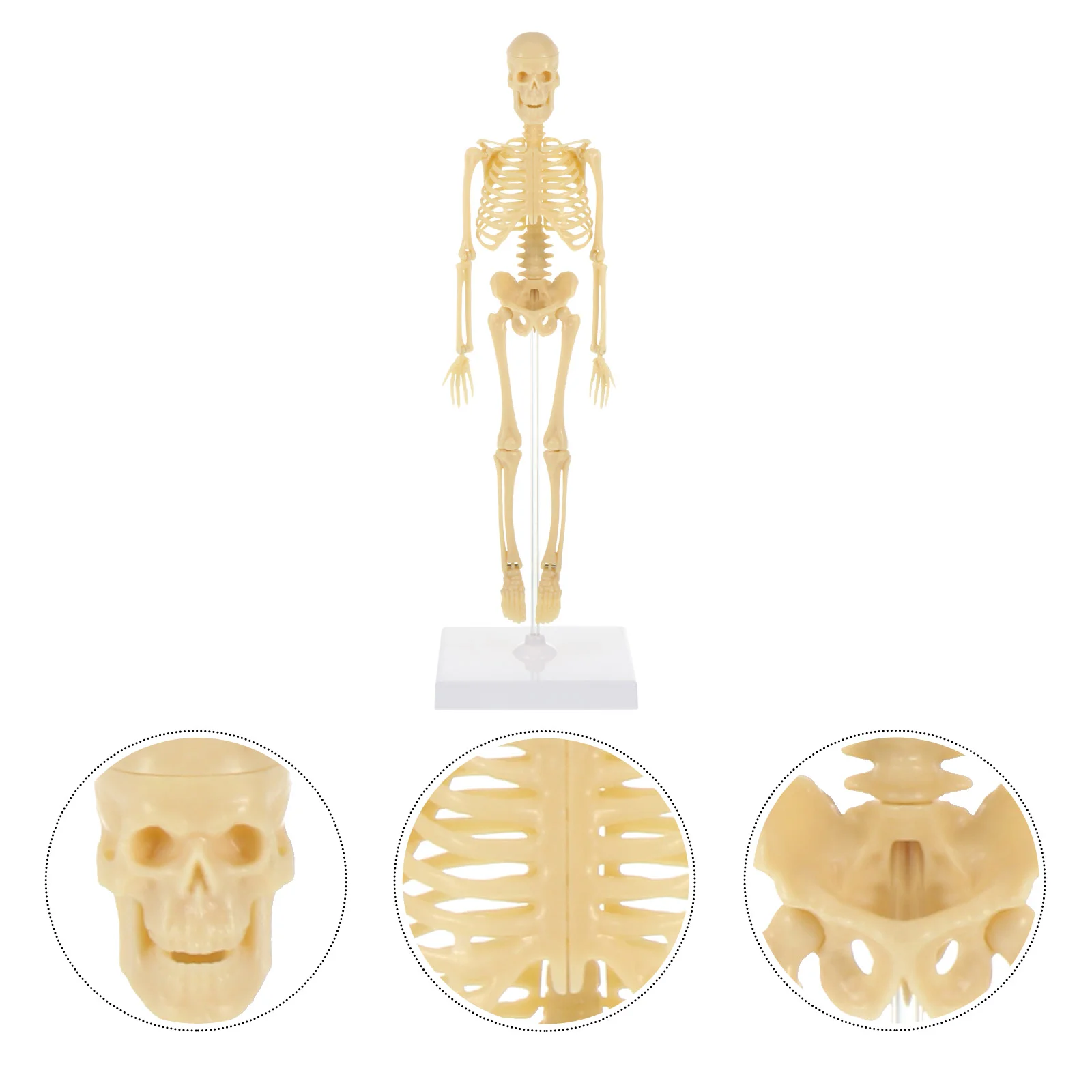 

Toy Kids Teaching Aids DIY Mini Plastic Mini Model Puzzle Simulation Student