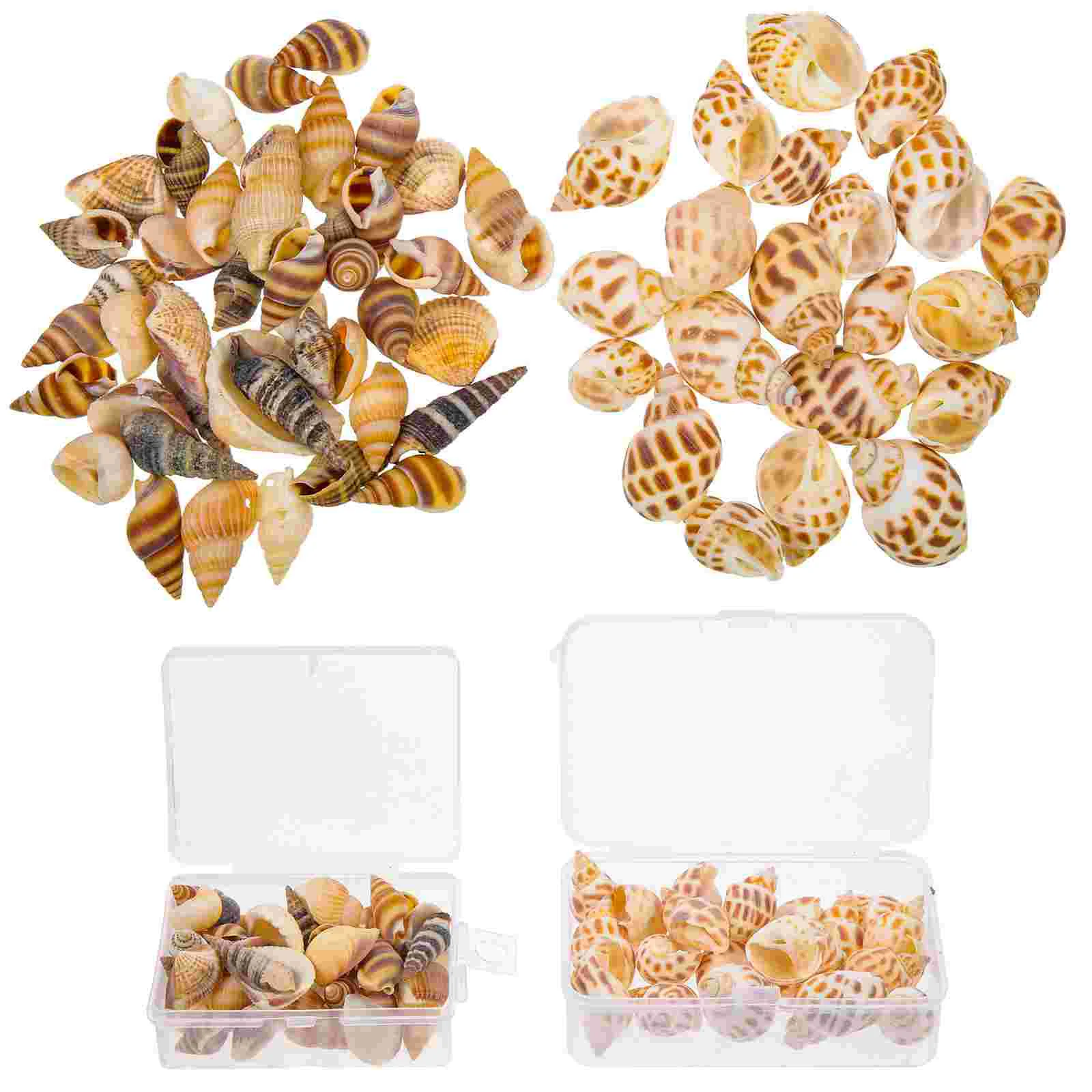 

2 Boxes Hermit Shells Hermit Habitat Conch Ornament Aquarium Seashells Decoration for Decoration Tank