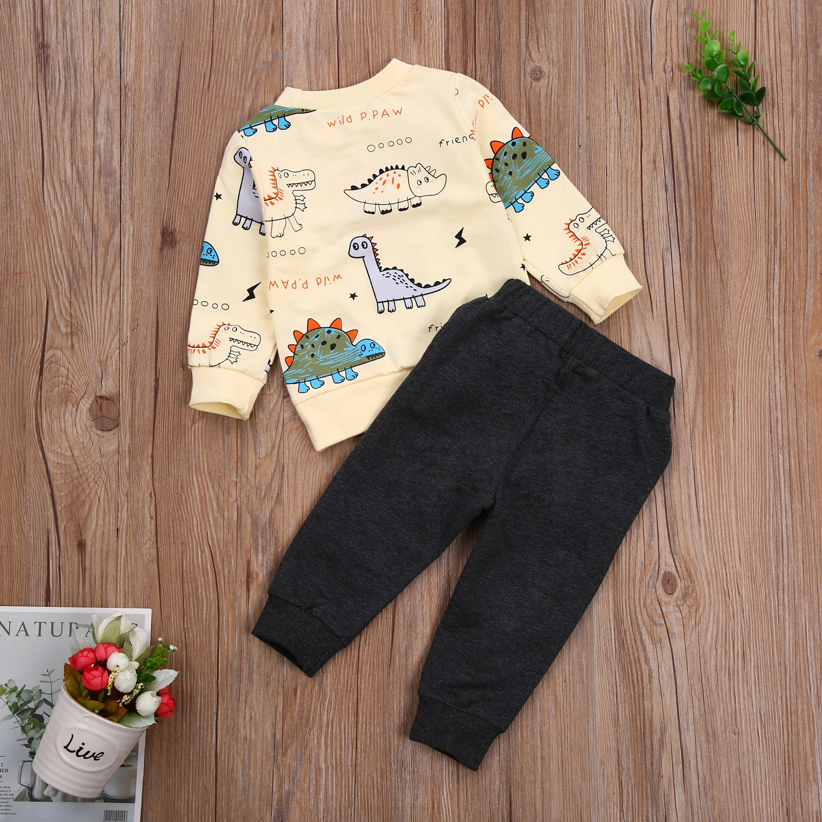 

Baby Long Sleeve + Trousers, Dinosaur Print Elastic Waist Ribbed Closing Classic Round Neck Spring Clothing