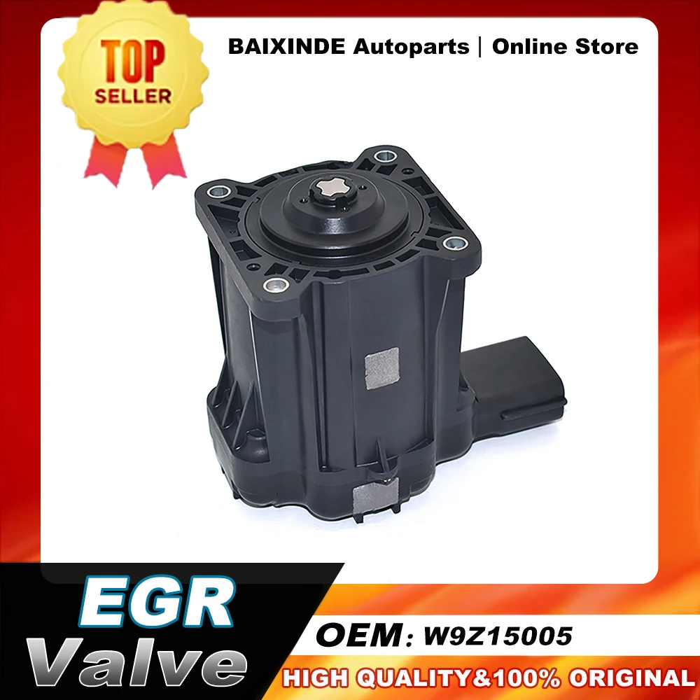 

OEM W9Z15005 EGR клапан автомобильные аксессуары автозапчасти высокое качество