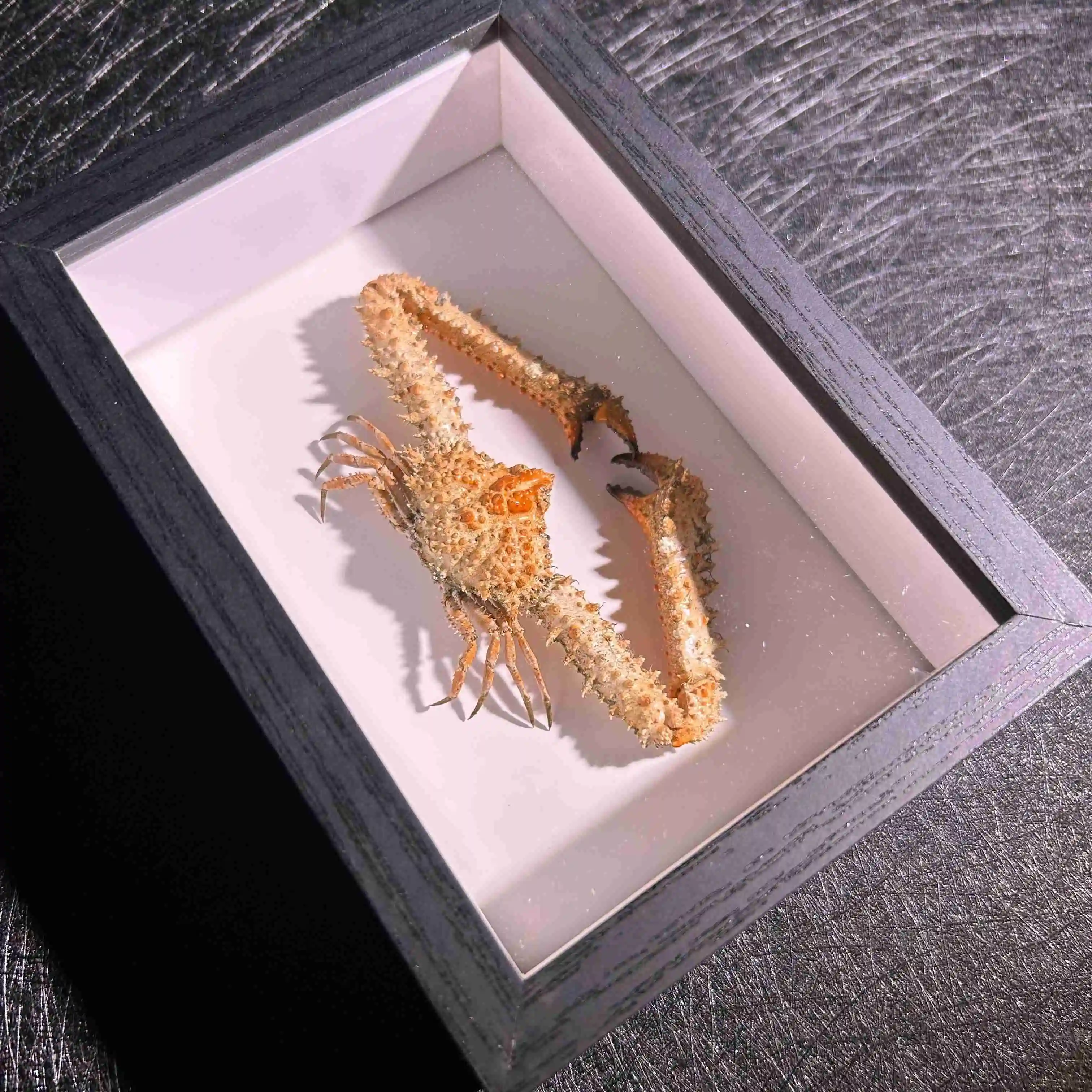 Статуэтка ежака-краба из органического материала